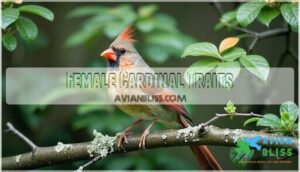 female cardinal traits