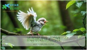 fledgling stage