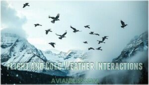 flight and cold weather interactions