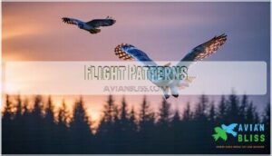 flight patterns