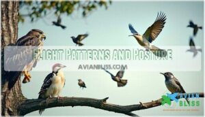 flight patterns and posture flight patterns and posture