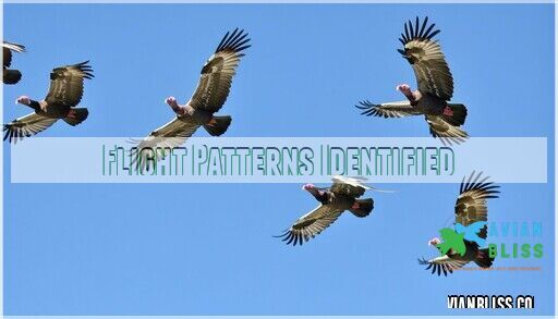 Turkey Vulture Identification: Easy Guide to Spotting These Birds