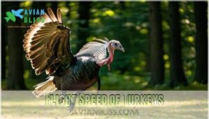 flight speed of turkeys