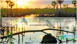 florida rare bird sightings