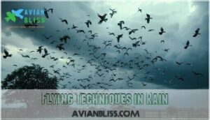 flying techniques in rain