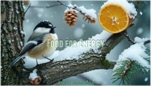 food for energy