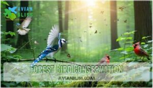 forest bird conservation forest bird conservation