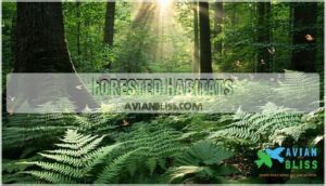 forested habitats