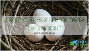 frequency of egg rolling and factors that influence it
