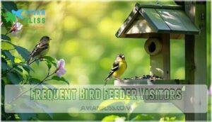 frequent bird feeder visitors