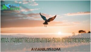 full flight capabilities and independence