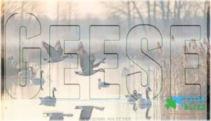 geese