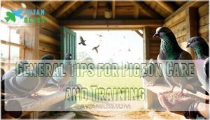 general tips for pigeon care and training