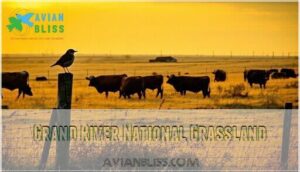 grand river national grassland