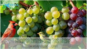 grapes nutrition for birds