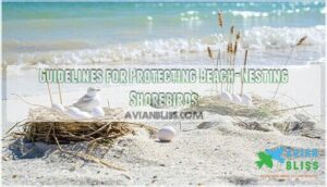 guidelines for protecting beach-nesting shorebirds
