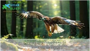 hawk diet foraging