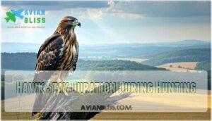 hawk stay duration during hunting