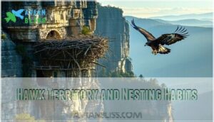hawk territory and nesting habits
