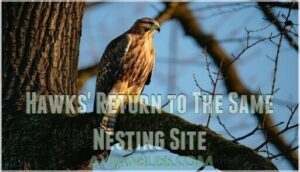 hawks' return to the same nesting site