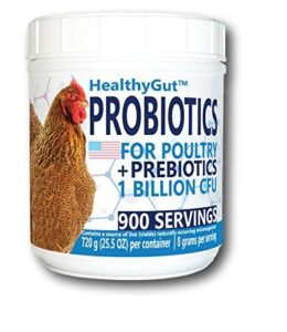HealthyGut Probiotics for Chickens & B07TYZPQ26
