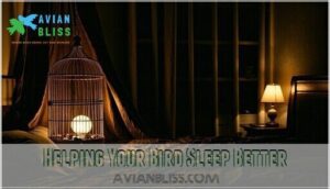 helping your bird sleep better