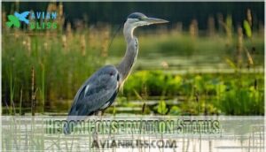 heron conservation status