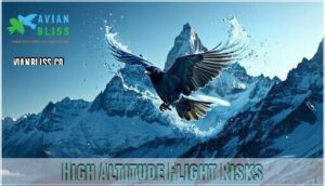 high altitude flight risks