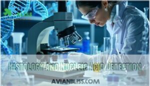 histology and nucleic acid detection