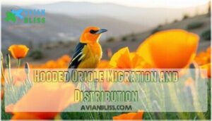 hooded oriole migration and distribution