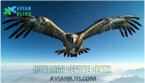 how high before death