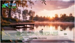how long do ducks live