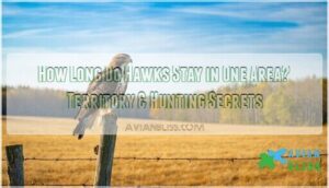 how long do hawks stay in one area