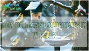 how to attract goldfinches in winter