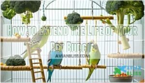 how to extend the life of your pet budgie