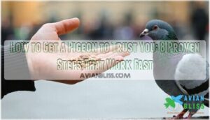 how to get a pigeon to trust you how to get a pigeon to trust you