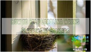 how to help carolina wrens sleeping in corners