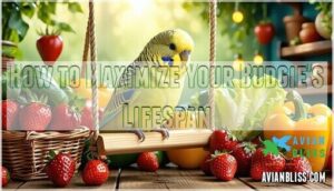 how to maximize your budgie's lifespan