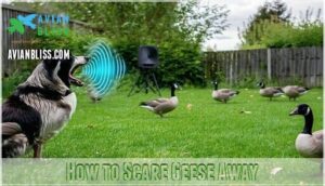 how to scare geese away