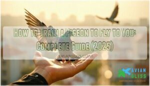 how to train a pigeon to fly to you