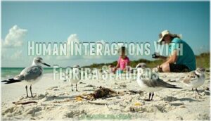 human interactions with florida sea birds