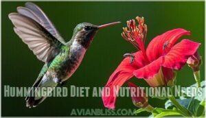 hummingbird diet and nutritional needs