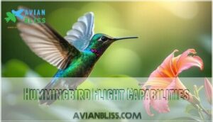 hummingbird flight capabilities