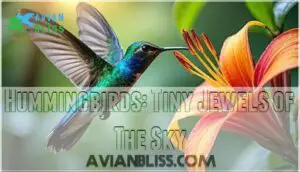 hummingbirds: tiny jewels of the sky