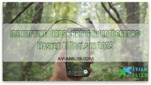 identifying birds through photographs identifying birds through photographs