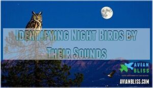 identifying night birds by their sounds