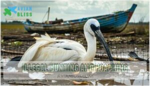 illegal hunting and poaching illegal hunting and poaching