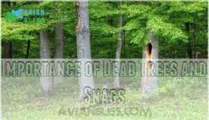 importance of dead trees and snags