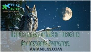 importance of night birds in colorado's avifauna