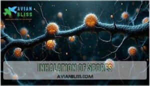 inhalation of spores inhalation of spores